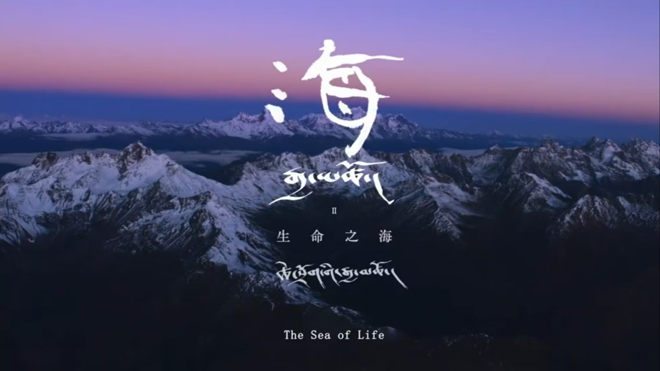 故事缩略图
