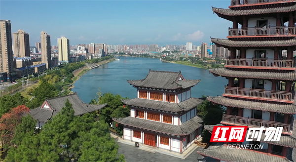图片A41.png