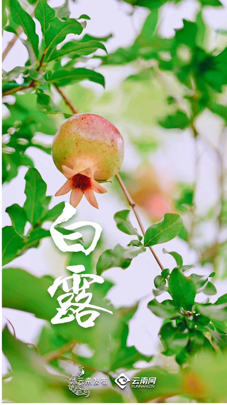 故事缩略图
